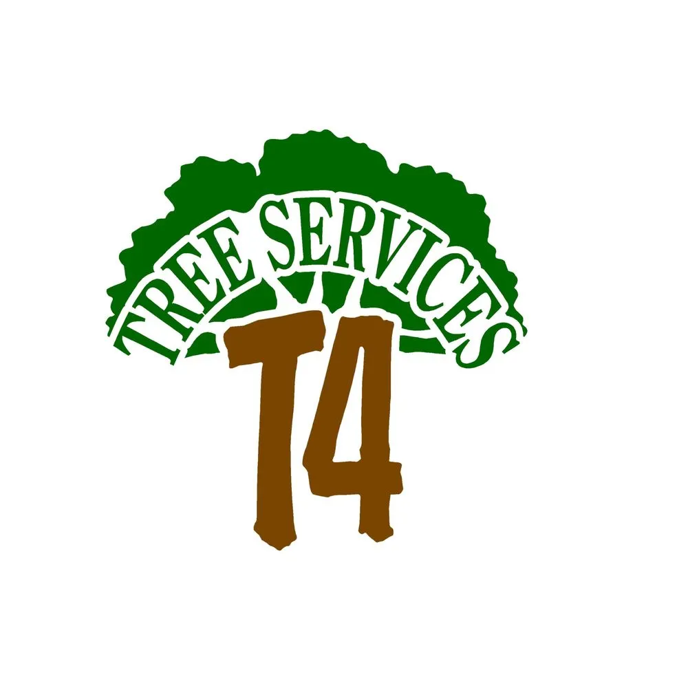 Reliable yard cleanup service in Grand Junction, CO - T4 Tree Services