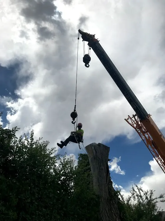 Custom garden landscaping in Grand Junction, CO - T4 Tree Services