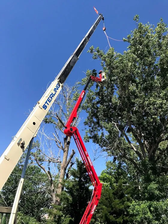 Trusted garden landscaping in Grand Junction, CO by T4 Tree Services