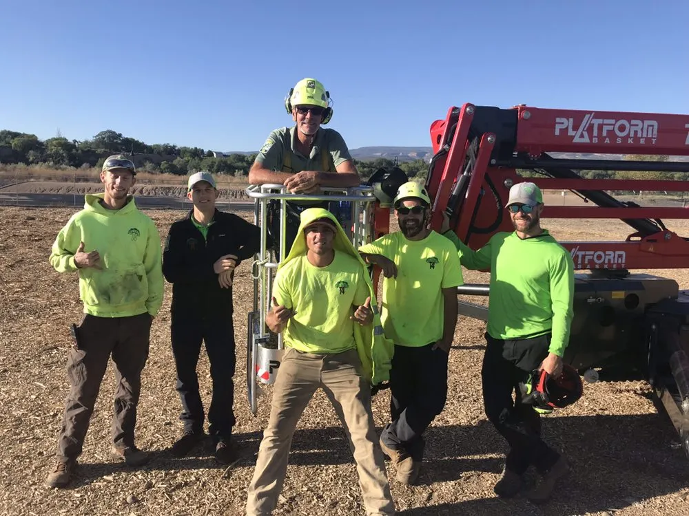 Reliable yard cleanup service for homes across Grand Junction, CO - T4 Tree Services