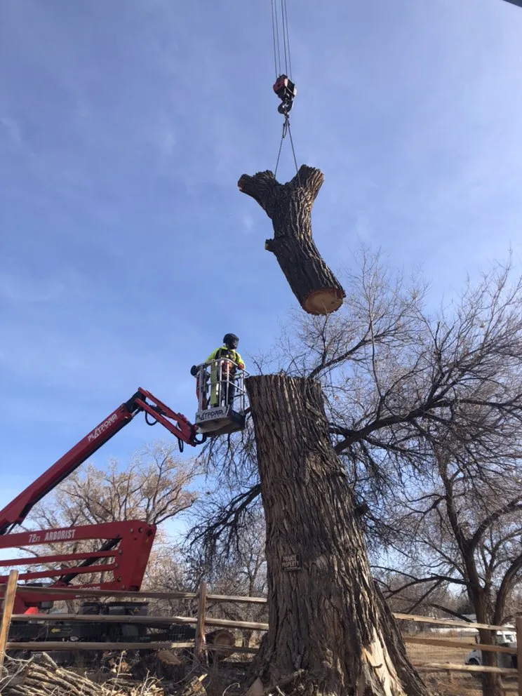 Reliable lawn mowing service in Grand Junction, CO by T4 Tree Services
