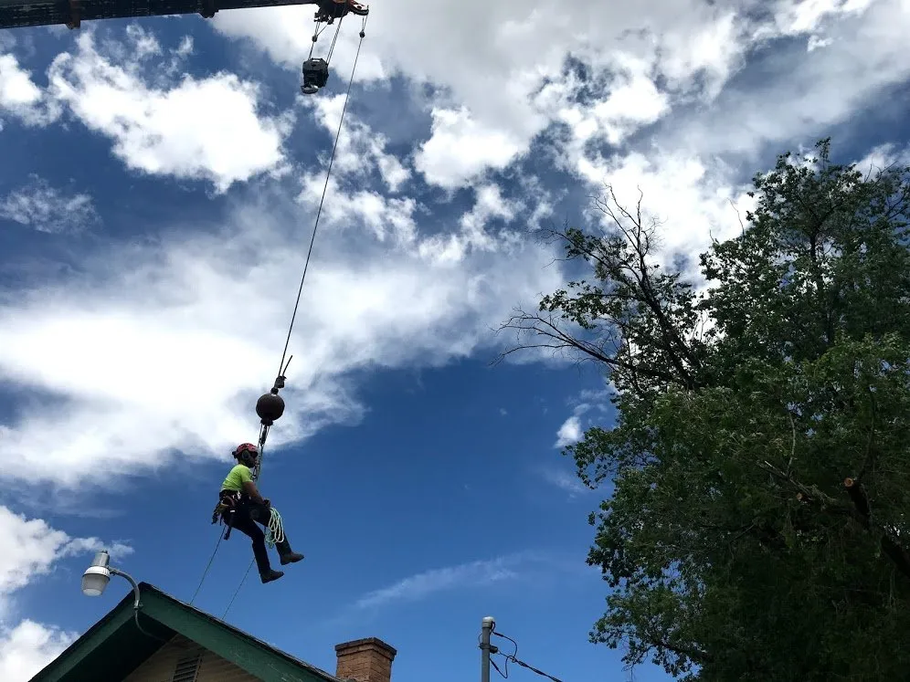 Expert residential landscaping for beautiful yards across Grand Junction, CO - T4 Tree Services