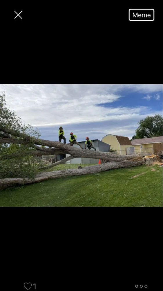 Professional garden landscaping for year-round maintenance in Grand Junction, CO by T4 Tree Services