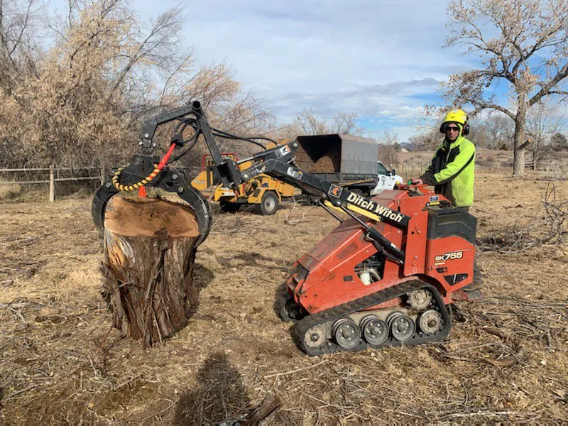 Affordable landscape design experts serving Grand Junction, CO - T4 Tree Services