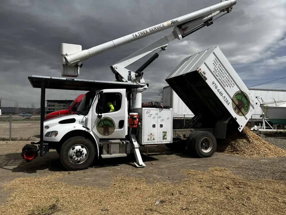 Professional landscape design experts serving Grand Junction, CO - T4 Tree Services