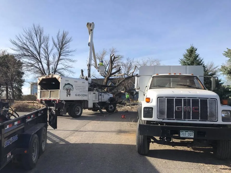 Trusted lawn mowing service for residential properties in Grand Junction, CO by T4 Tree Services