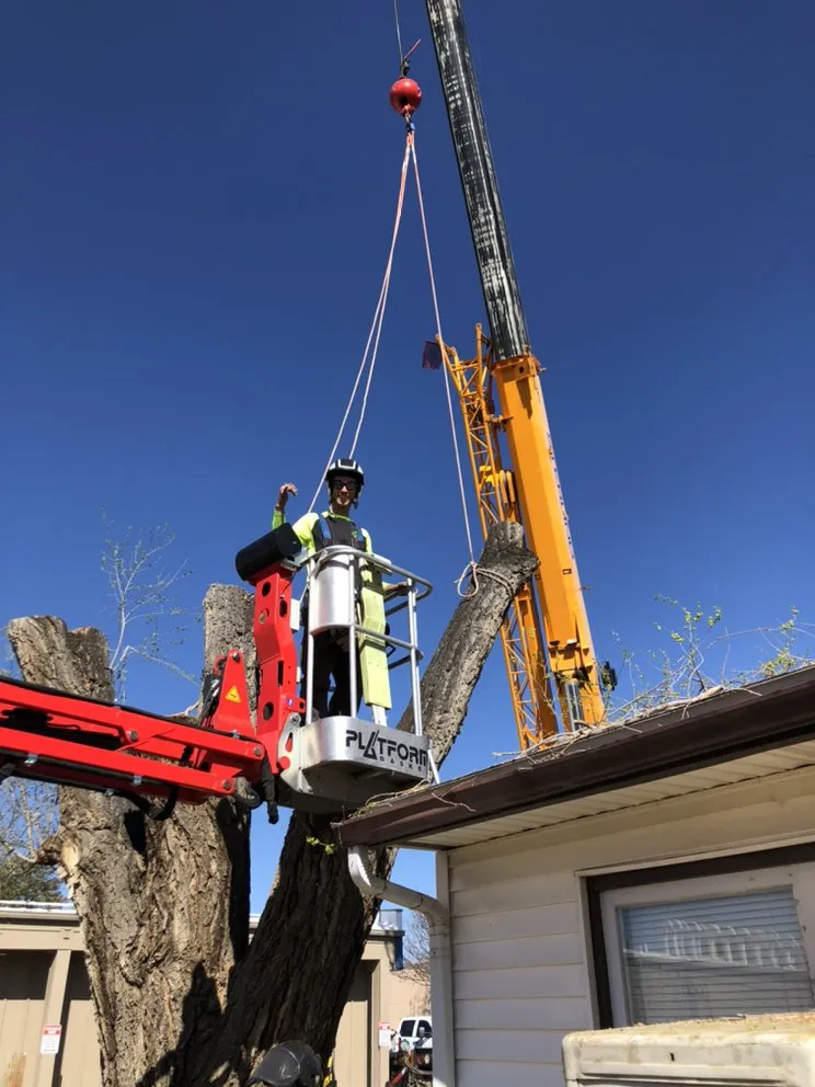 Custom garden landscaping for residential properties across Grand Junction, CO - T4 Tree Services