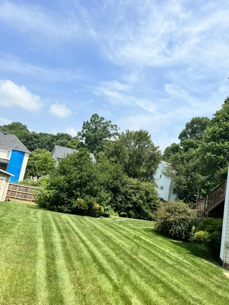 Top-rated lawn care service experts serving Kernersville, NC - Ta-Da landscaping