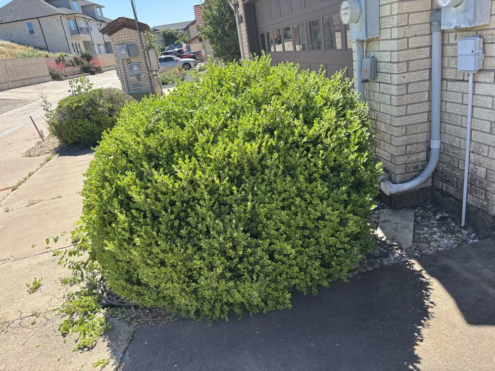 Custom lawn care service for homes across Granbury, TX - T&A Exterior Services