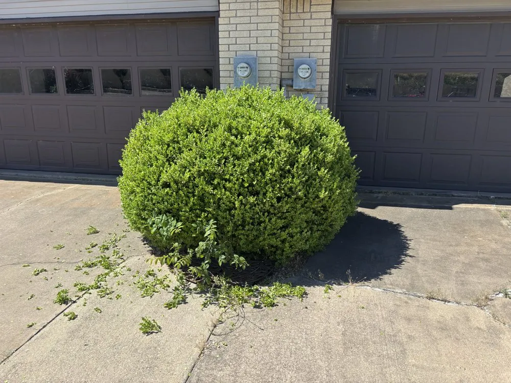 Top-rated lawn mowing service experts serving Granbury, TX - T&A Exterior Services