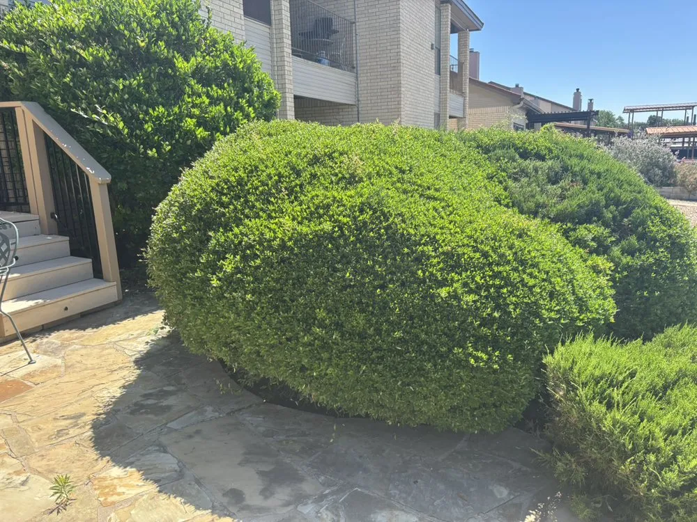 Local outdoor landscaping for outdoor upgrades across Granbury, TX - T&A Exterior Services