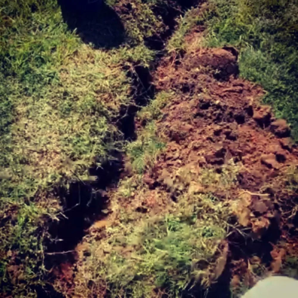 Custom yard maintenance near you across New Albany, IN - T&A Home & Lawn