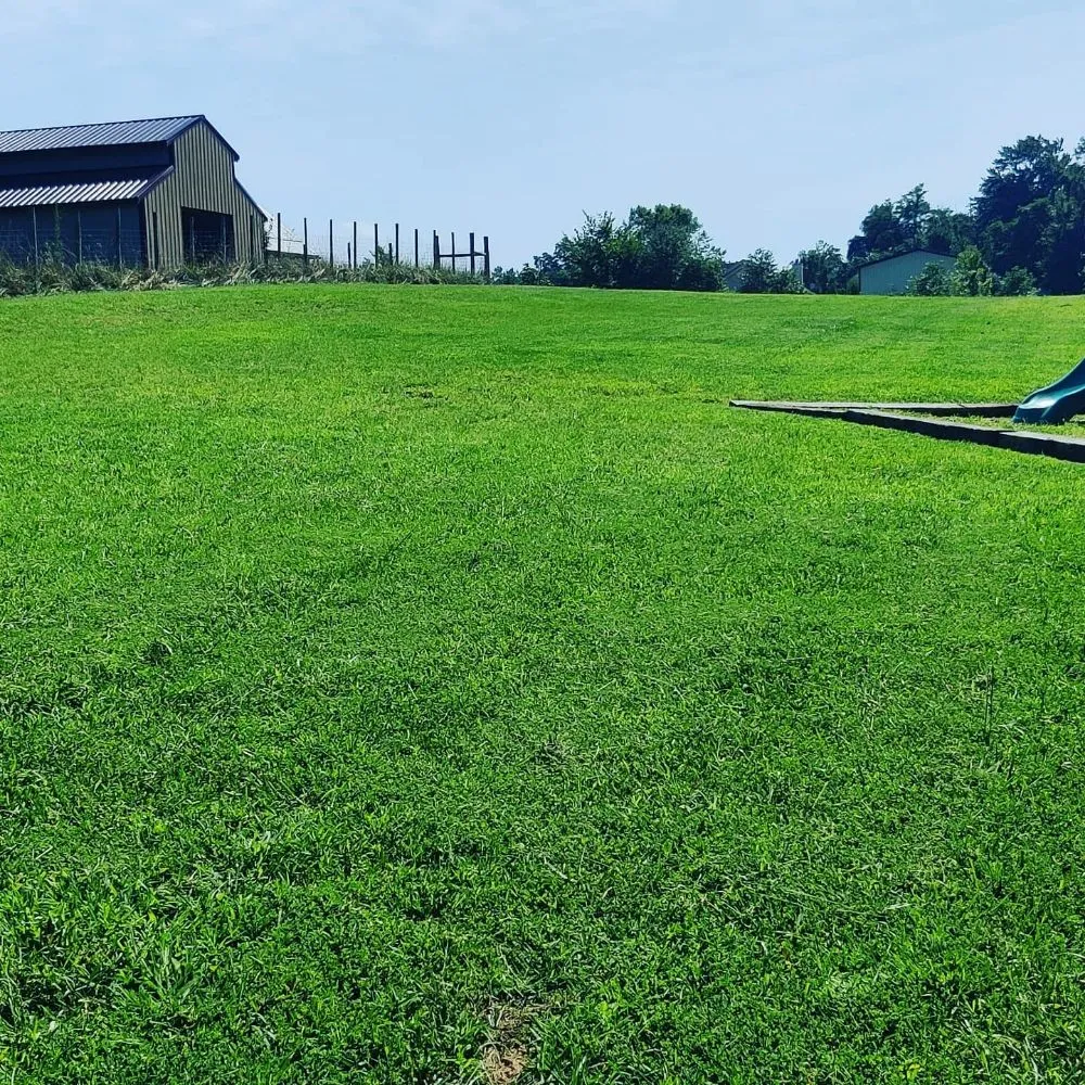 Affordable garden landscaping in New Albany, IN by T&A Home & Lawn