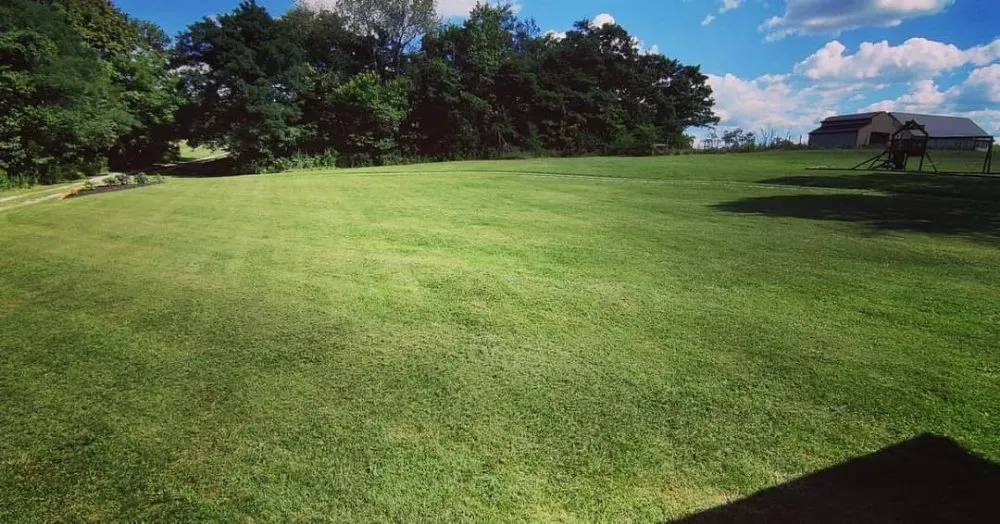 Top-rated landscaping services for year-round maintenance across New Albany, IN - T&A Home & Lawn