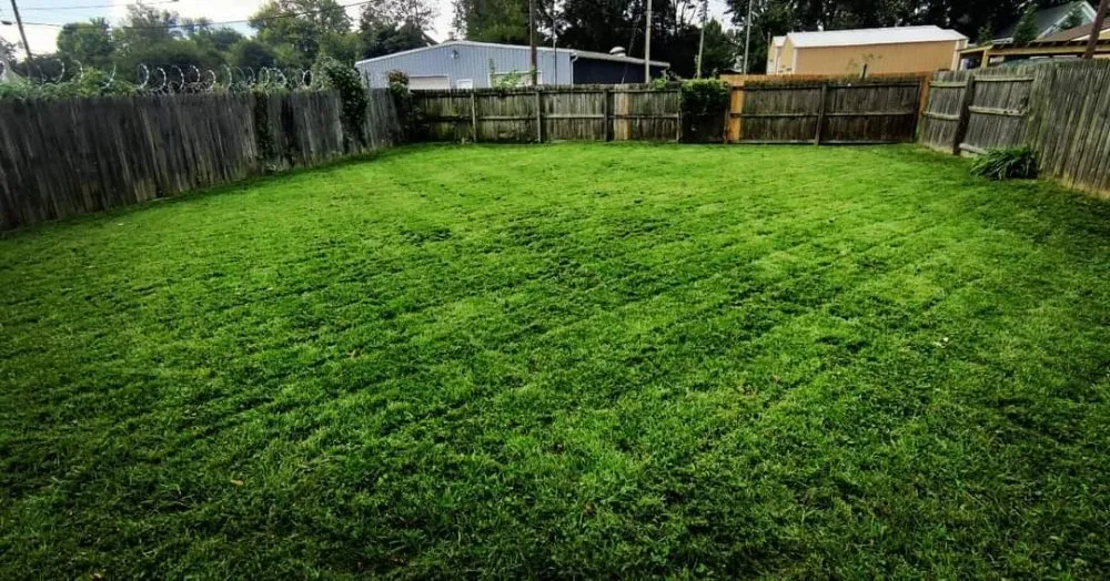 Expert lawn mowing service in New Albany, IN by T&A Home & Lawn