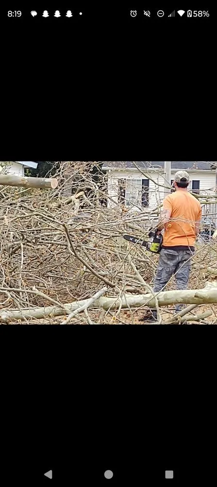 Reliable landscaping services in Aiken, SC - T&A land clearing