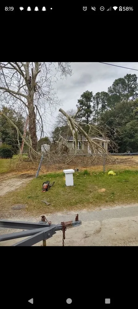 Affordable lawn mowing service in Aiken, SC by T&A land clearing