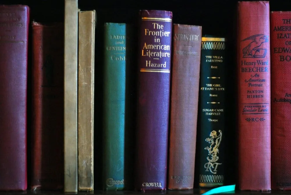 Affordable landscape design for homes across Aiken, SC - T&A land clearing