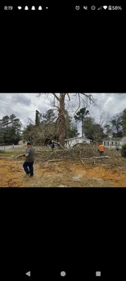 T&A land clearing Logo