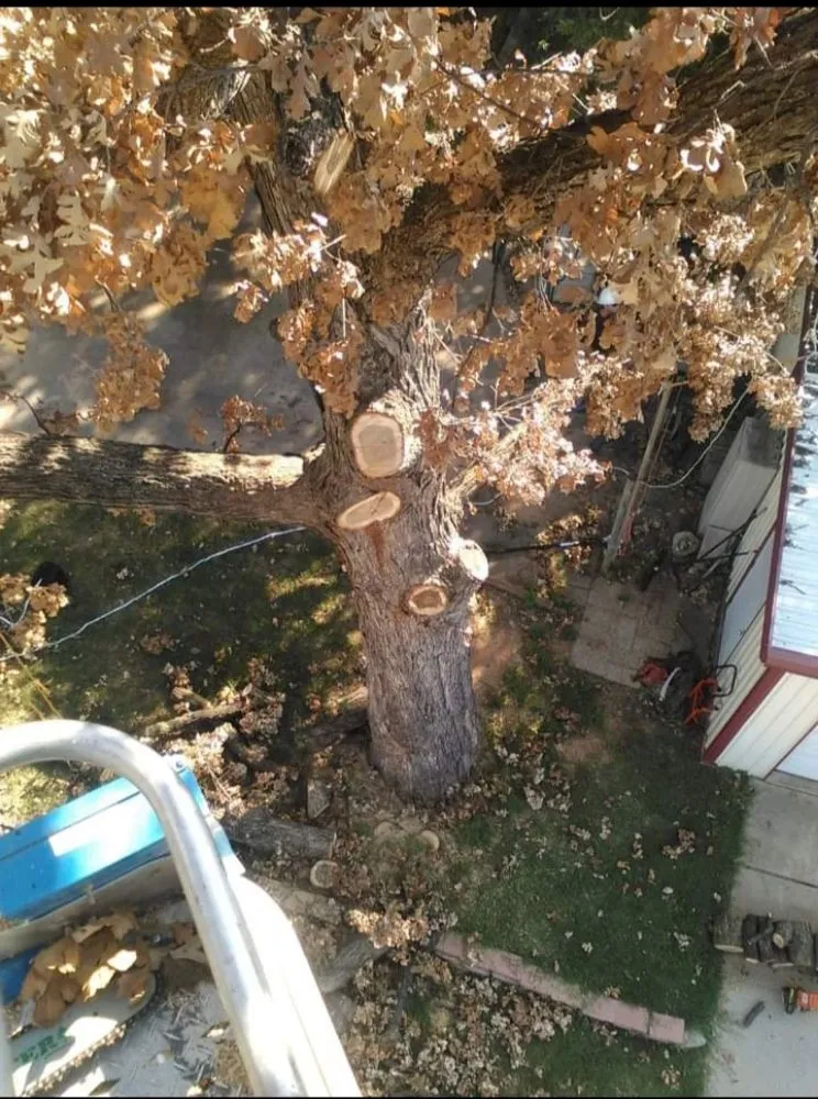 Professional landscape design near you in Norman, OK by T&A Landscape Design & Tree Care