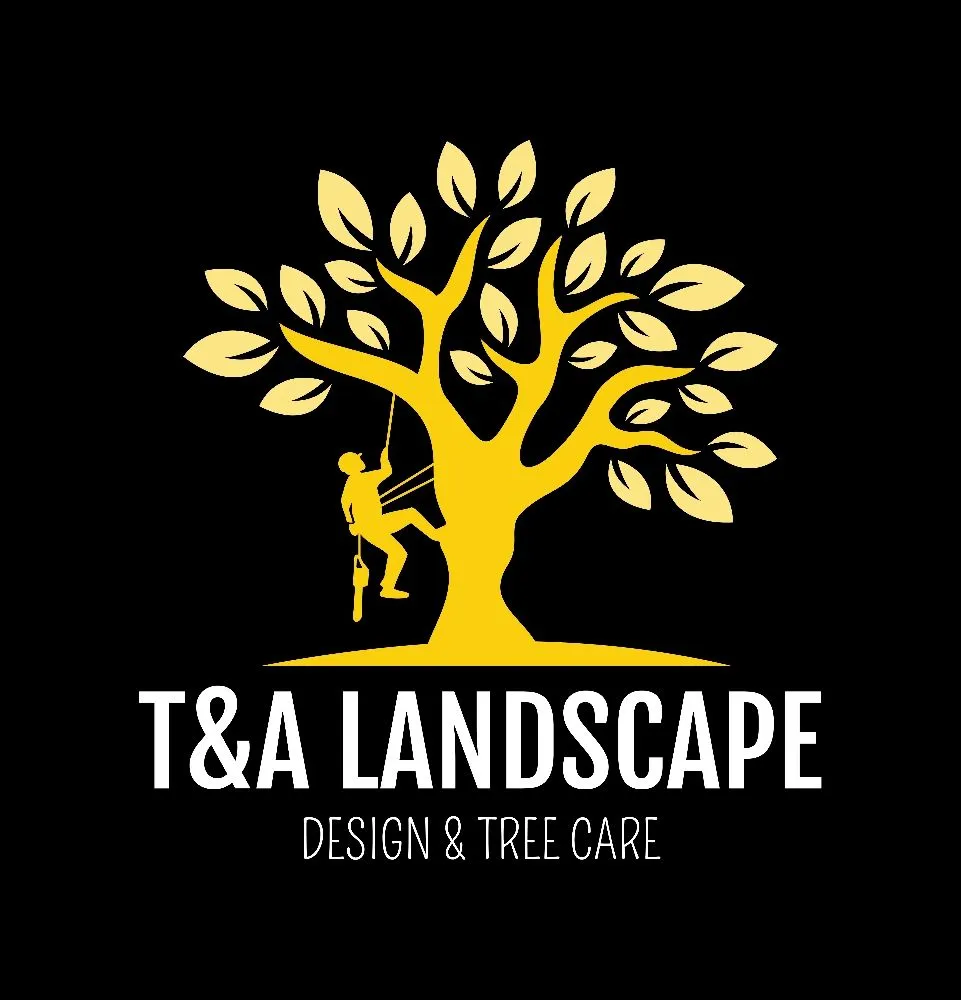 Reliable landscape installation experts serving Norman, OK - T&A Landscape Design & Tree Care