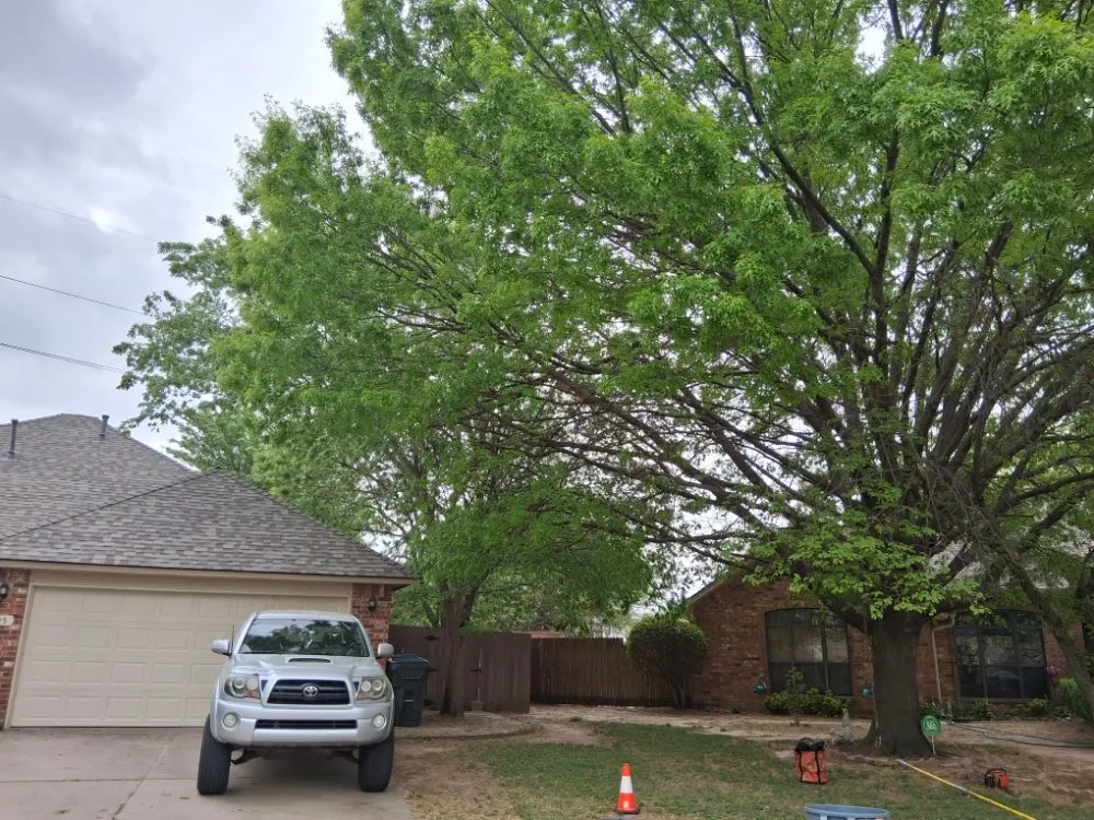 Trusted landscape design for beautiful yards in Norman, OK by T&A Landscape Design & Tree Care