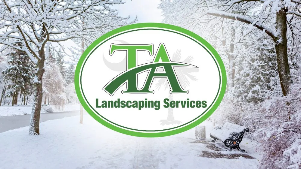 Local lawn mowing service experts serving Greenville, SC - TA Landscaping Services
