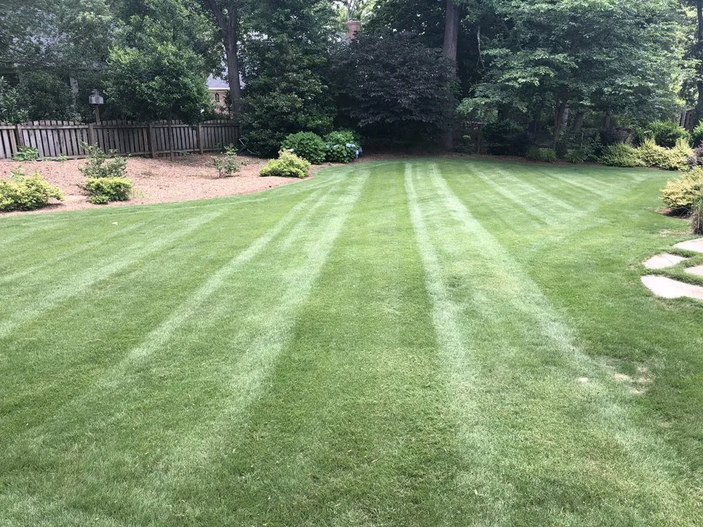 Affordable landscape design in Greenville, SC by TA Landscaping Services