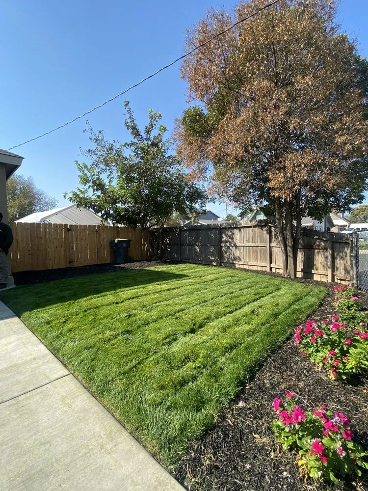 Custom lawn mowing service in Stockton, CA by T&A Landscaping