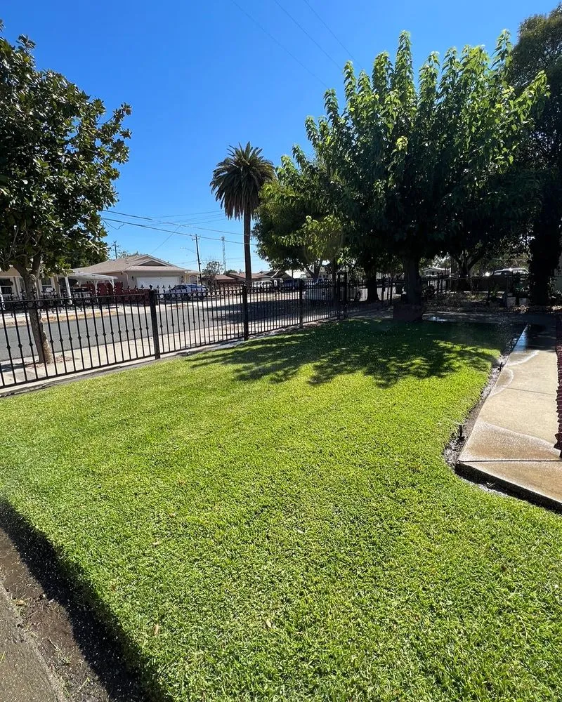 Expert outdoor landscaping in Stockton, CA - T&A Landscaping