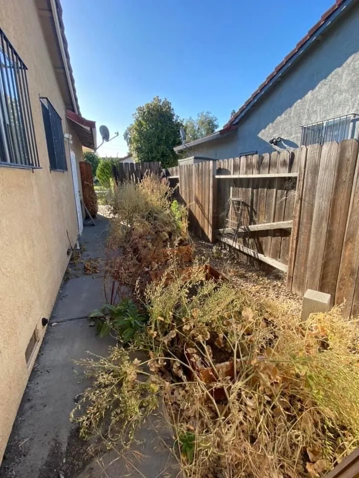 Reliable yard cleanup service experts serving Stockton, CA - T&A Landscaping