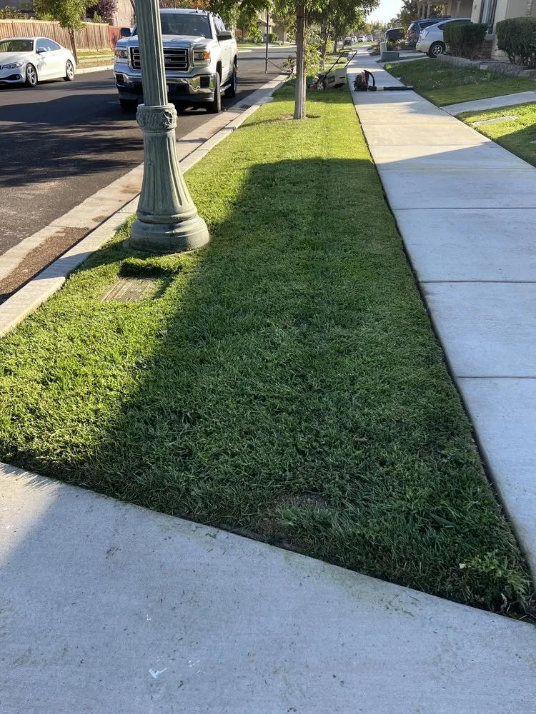 Professional yard maintenance in Stockton, CA by T&A Landscaping