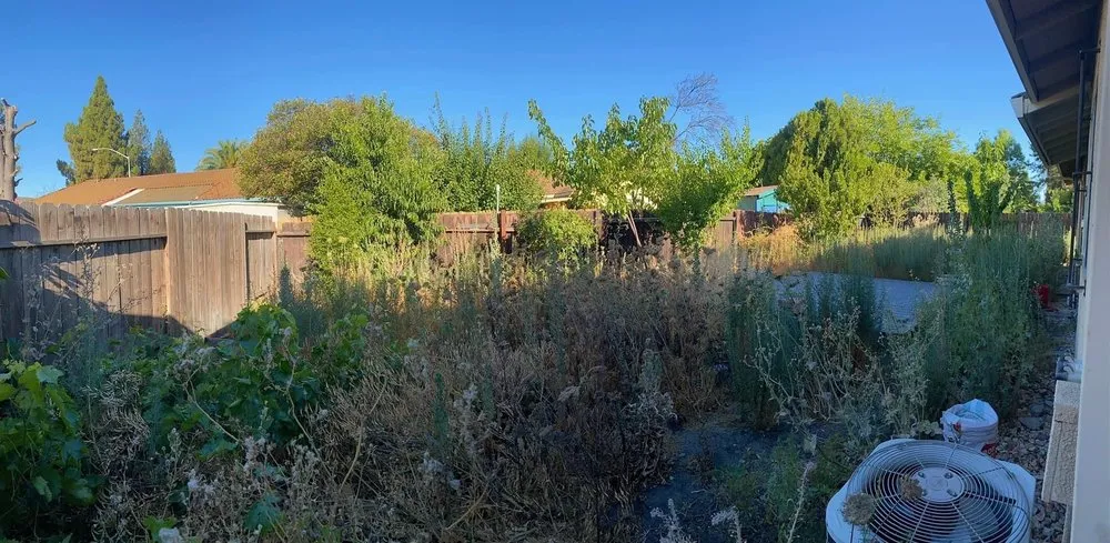 Professional outdoor landscaping in Stockton, CA - T&A Landscaping