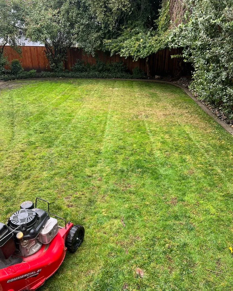 Local yard maintenance experts serving Stockton, CA - T&A Landscaping