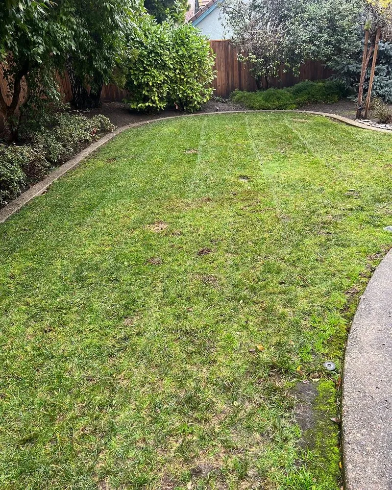 Local garden landscaping for residential properties in Stockton, CA by T&A Landscaping