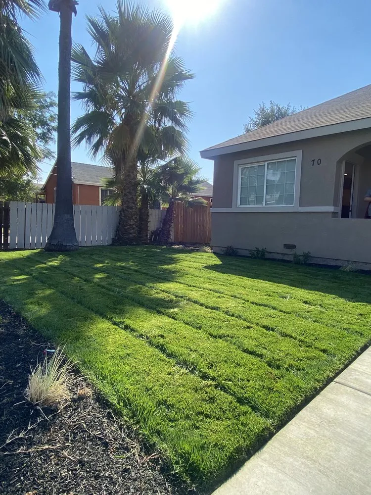 Expert landscape installation for homes in Stockton, CA by T&A Landscaping