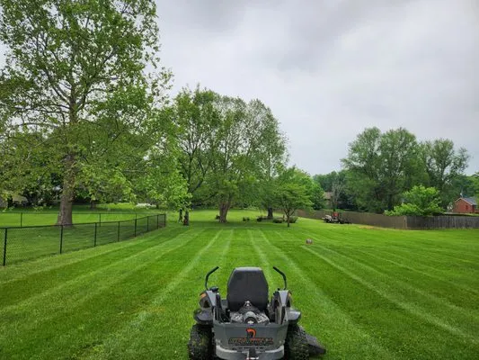 T&A Lawn Care