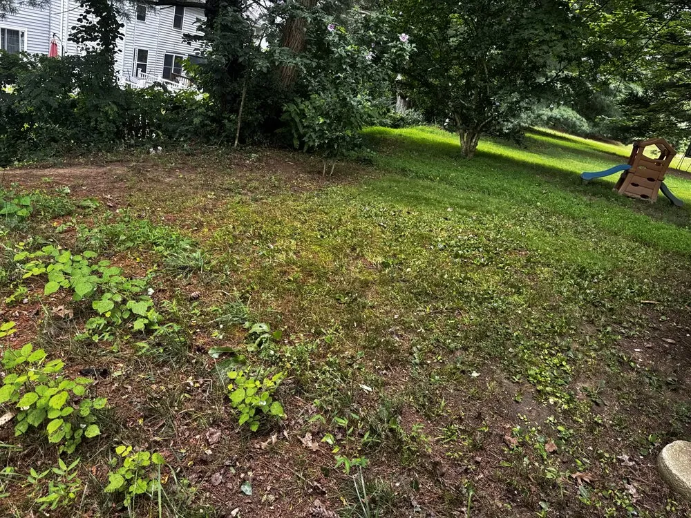 Professional landscape design for year-round maintenance across Elkridge, MD - Ta lawn care