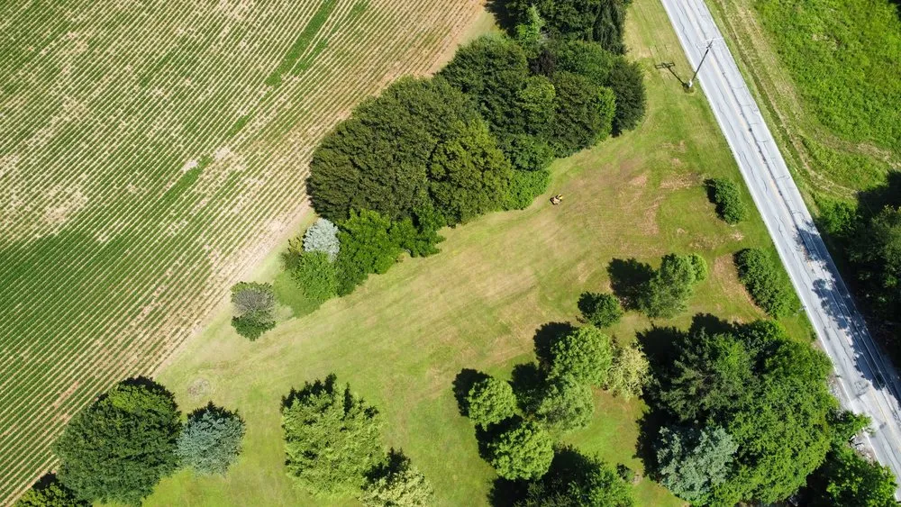 Reliable landscape design in Elkridge, MD by Ta lawn care