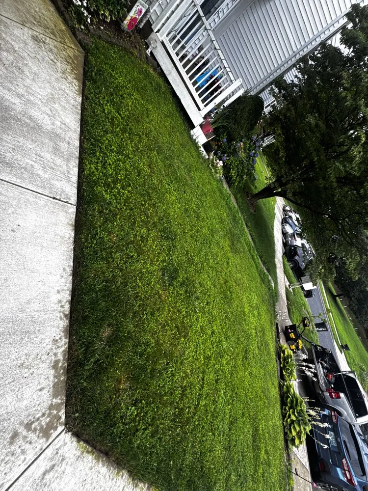 Reliable yard maintenance experts serving Elkridge, MD - Ta lawn care