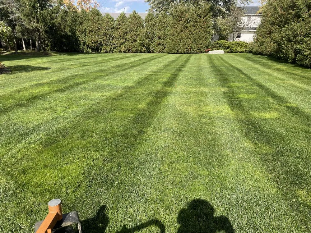 Top-rated yard maintenance experts serving Seven Hills, OH - T&A LawnCare