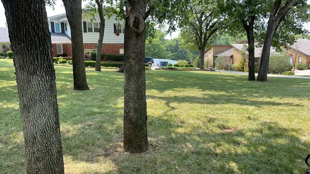 Top-rated lawn care service in Norman, OK - T&A Pressure Pros