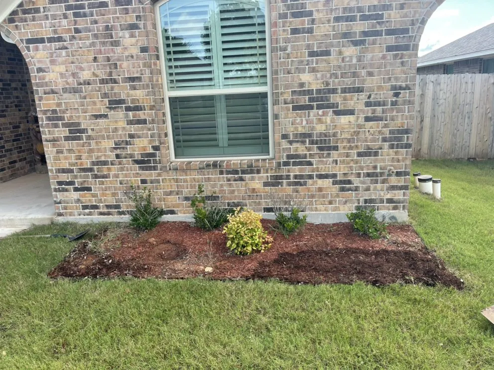 Top-rated yard cleanup service experts serving Norman, OK - T&A Pressure Pros