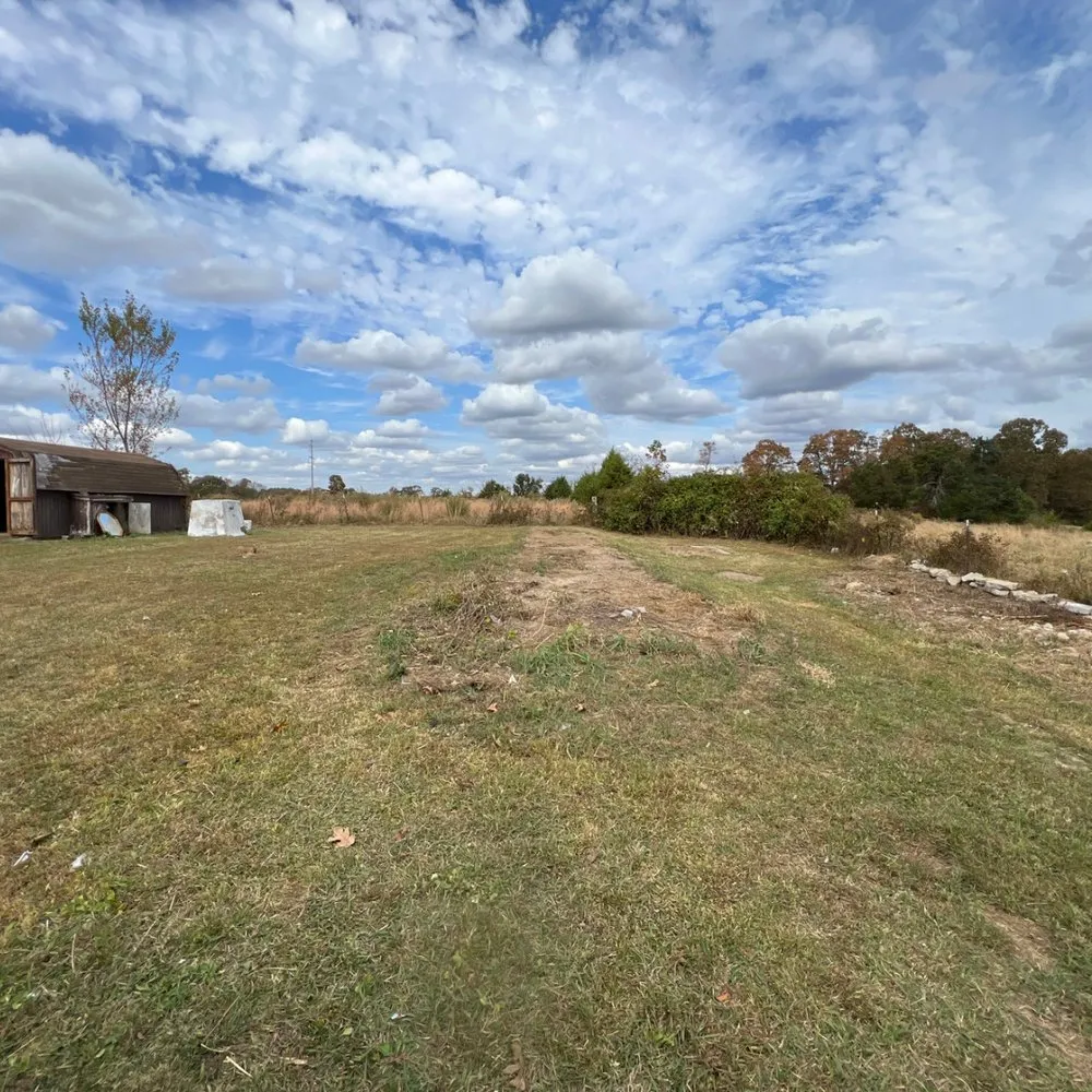 Local yard cleanup service experts serving Camden, TN - TA Services