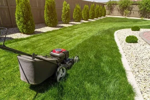 Expert garden landscaping for beautiful yards across Farmington, MN - Taarud Lawn and Snow