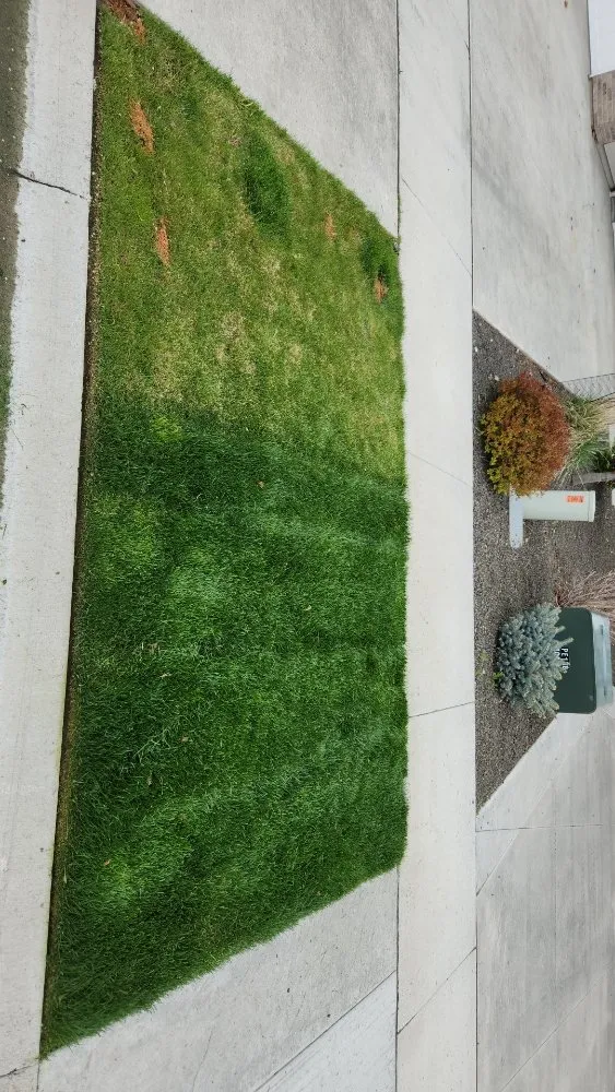 Custom lawn care service for outdoor upgrades in Nampa, ID by Tabares Landscaping