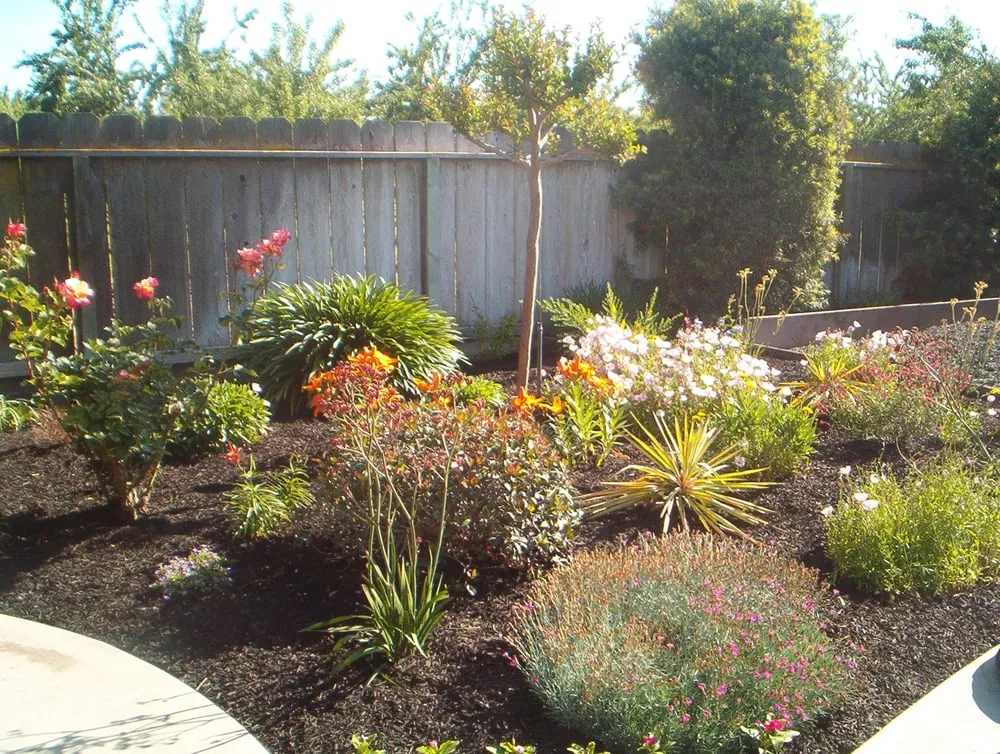 Local lawn care service experts serving Ripon, CA - Tabasco CL Landscaping