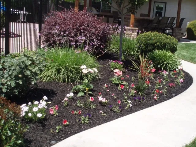 Affordable landscape installation in Ripon, CA by Tabasco CL Landscaping