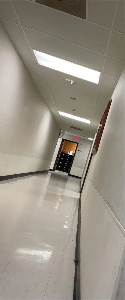 Expert yard cleanup service in Port Neches, TX by TabbyMac’s Sparkling Service