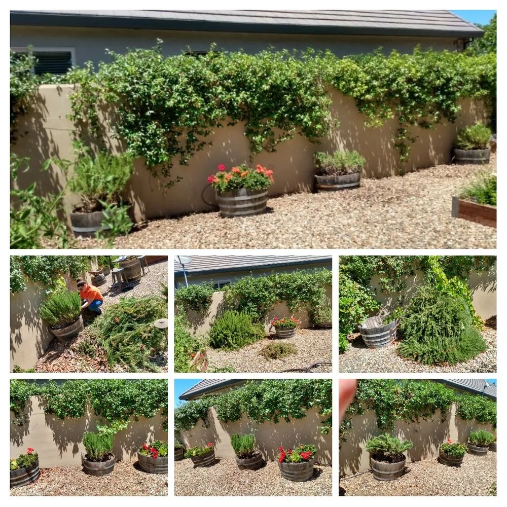 Affordable landscape design in Copperopolis, CA - Table Mountain Maintenance